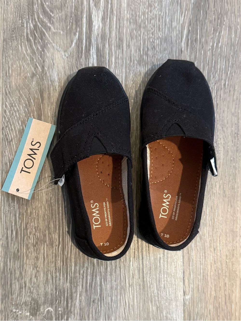 NWT Toms Shoes